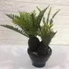 "Fresh and clean plants" details Picture